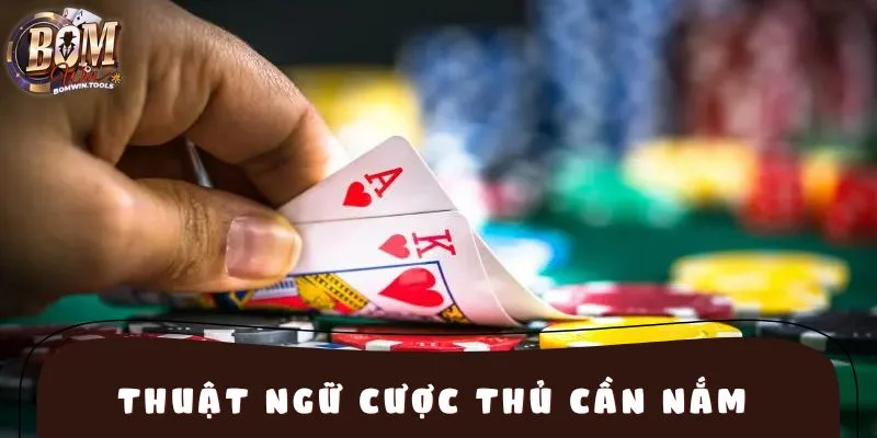 Thuật ngữ cược thủ cần nắm để theo kịp ván bài