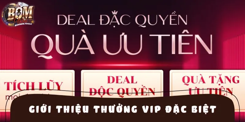 Tổng quan về ưu đãi thưởng vip đặc biệt